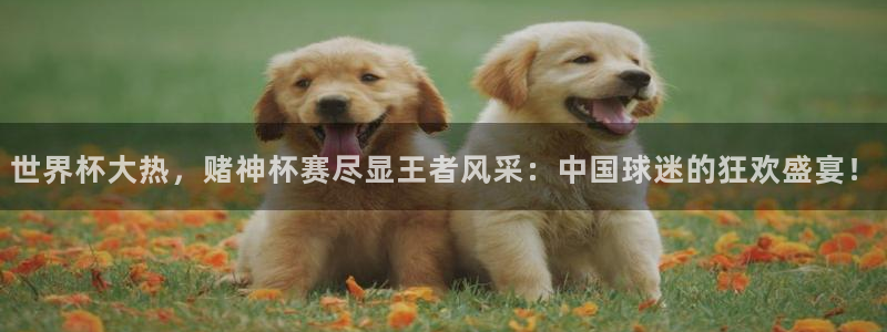 2026世界杯欧洲预选赛赛程表：世界杯大热，赌神杯赛尽显王者风采：中国球迷的狂欢盛宴！