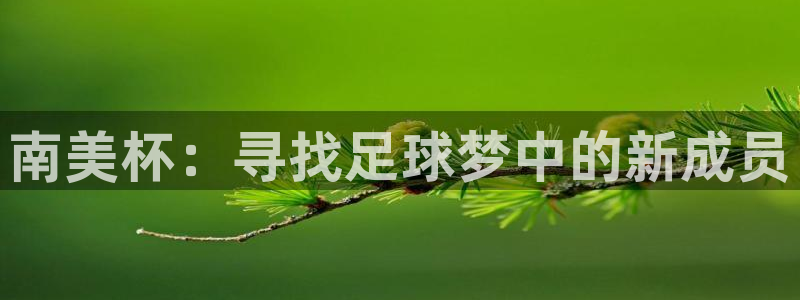 2006年世界杯冠军：南美杯：寻找足球梦中的新成员