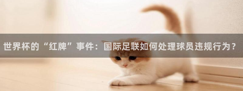 2026男足世界杯赛程：世界杯的“红牌”事件：国际足联如何处理球员违规行为？