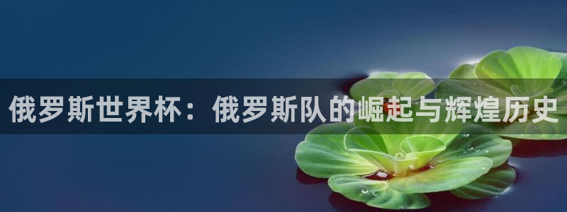 亚洲杯比赛直播：俄罗斯世界杯：俄罗斯队的崛起与辉煌历史