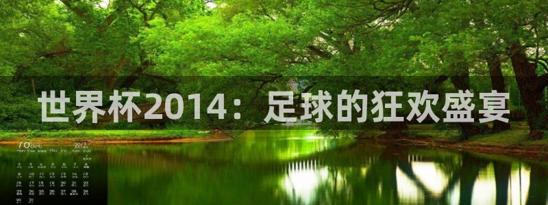 2026世界杯官网：世界杯2014：足球的狂欢盛宴