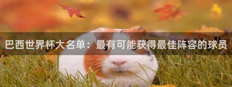 世界杯直播时间：巴西世界杯大名单：最有可能获得最佳阵容的球员