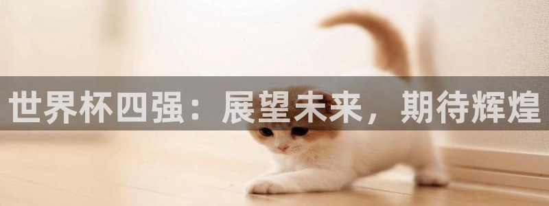 世界杯时间：世界杯四强：展望未来，期待辉煌