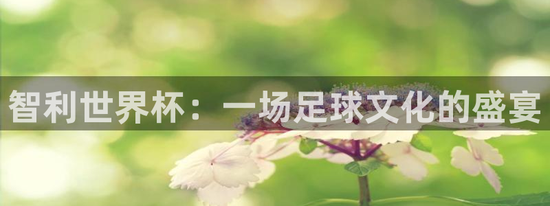 2026足球世界杯：智利世界杯：一场足球文化的盛宴
