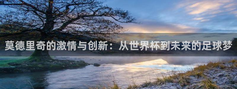 足球比分直播世界杯：莫德里奇的激情与创新：从世界杯到未来的足球梦