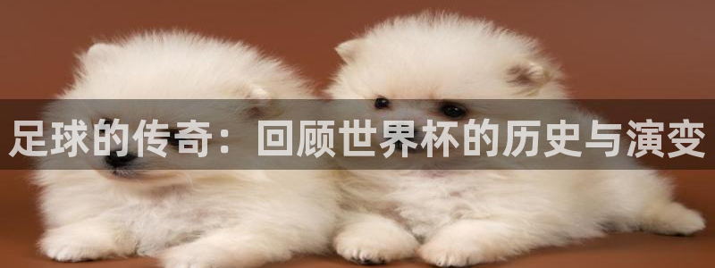 西超杯直播:足球的传奇:回顾世界杯的历史与演变