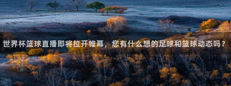 足球比分直播世界杯：世界杯篮球直播即将拉开帷幕，您有什么想的足球和篮球动态吗？