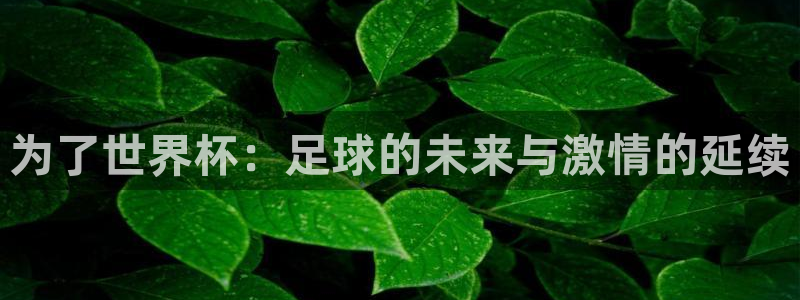 世界杯欧洲区赛程：为了世界杯：足球的未来与激情的延续
