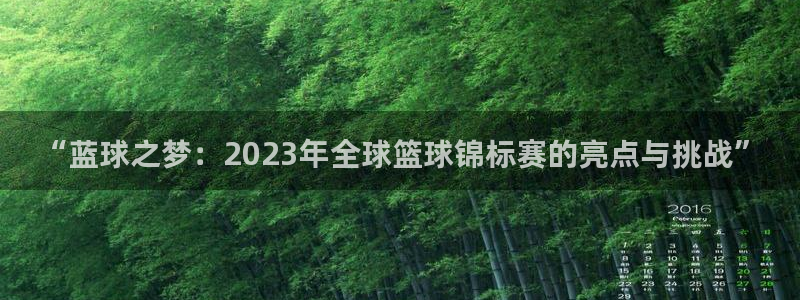世界杯对阵图2026：“蓝球之梦：2023年全球篮球锦标赛的亮点与挑战”
