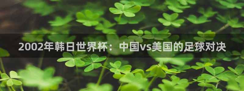 世界杯直播观看：2002年韩日世界杯：中国vs美国的足球对决