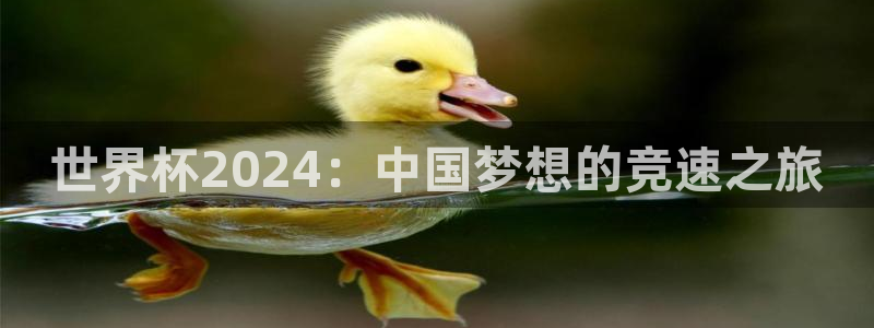 世界杯欧洲预选赛：世界杯2024：中国梦想的竞速之旅