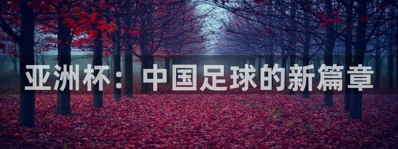 2026世界杯买球：亚洲杯：中国足球的新篇章