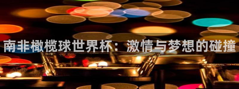 世界杯官网入口：南非橄榄球世界杯：激情与梦想的碰撞